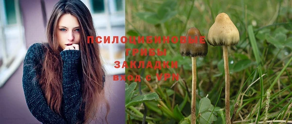 мескалин Алексин